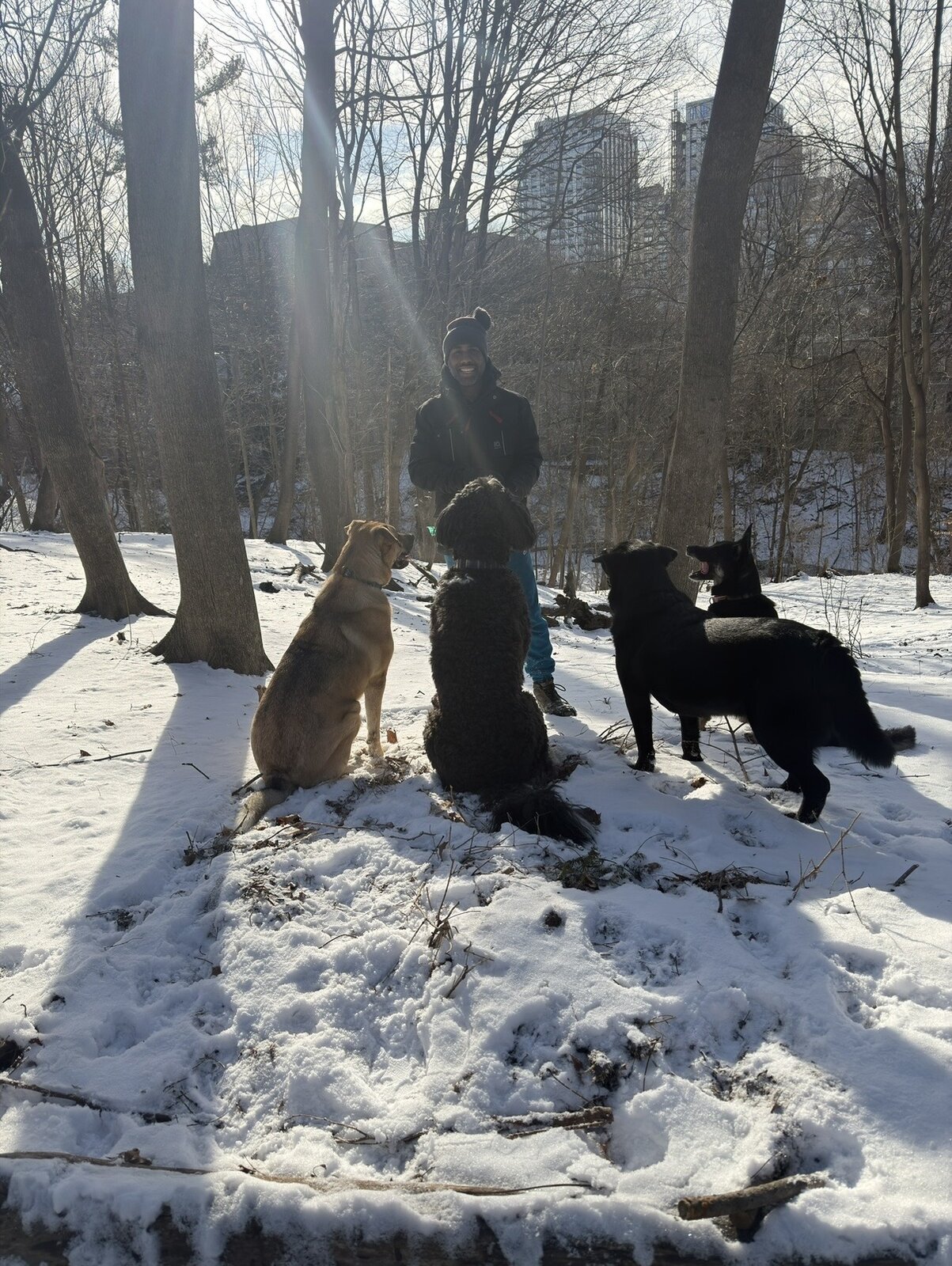 Dog Days photo gallery — image four
